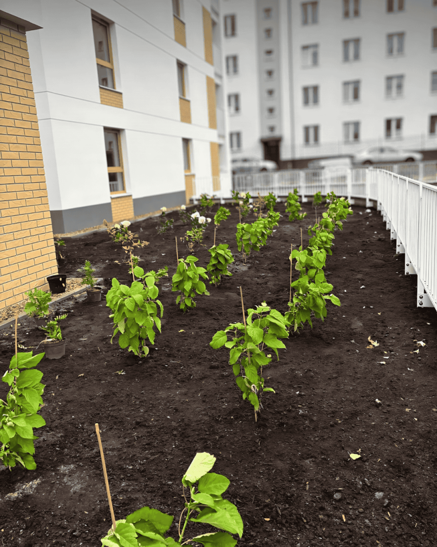 Nowe nasadzenia w Domu na Mariackiej!